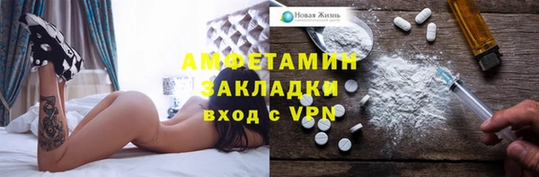 сатива Аркадак
