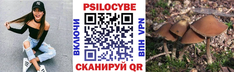 Псилоцибиновые грибы прущие грибы  Шумиха 