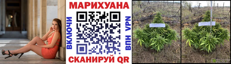 нарко площадка формула Шумиха МАРИХУАНА OG Kush